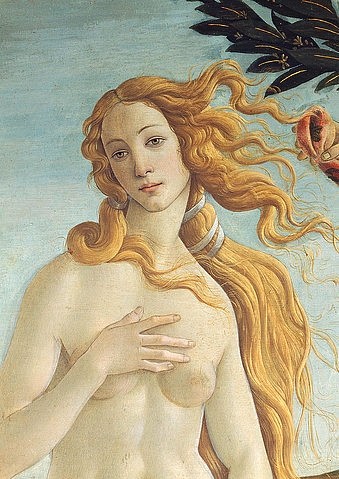 Sandro Botticelli, ""Detail aus dem Gemälde """"Geburt der Venus"""": Kopf der Venus."""" (Geburt der Venus, Göttin, Schönheit, Akt, Simonetta Vespucci, Detail. Portrait, Renaissance, Klassiker, Schlafzimmer, Wohnzimmer, bunt)