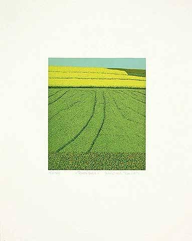 Rausch Michael Rapsfeld (Radierung, handsigniert) (Landschaft, Feld, Getreide, Kornfeld, Landwirschaft, Grafik, modern, Original, signiert, Treppenhaus, Wohnzimmer, grün/gelb)
