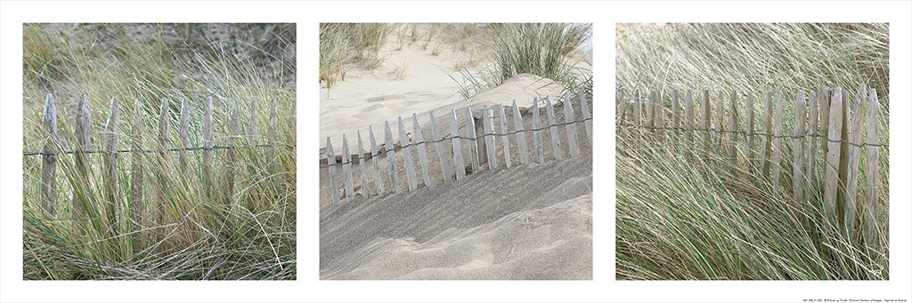 Philip Plisson, Ganivelles sur la dune - Bretagne (Sand, Sanddüne, Düne, maritim, Dünengras, Naturschutz, Natur, Zaun, Treppenhaus, Wohnzimmer, Fotografie, Triptychon, bunt)