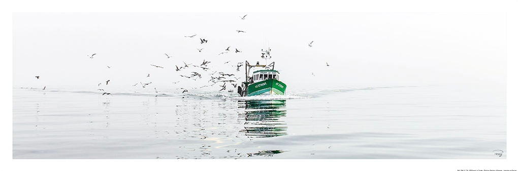 Philip Plisson, Retour de pêche - Baie de Quiberon - Morbihan (Fischerboot, Heimkehr, Möwen, Meeresbrise, Meer, Treppenhaus, maritim, Badezimmer, Wohnzimmer, Photokunst, Fotokunst, bunt)