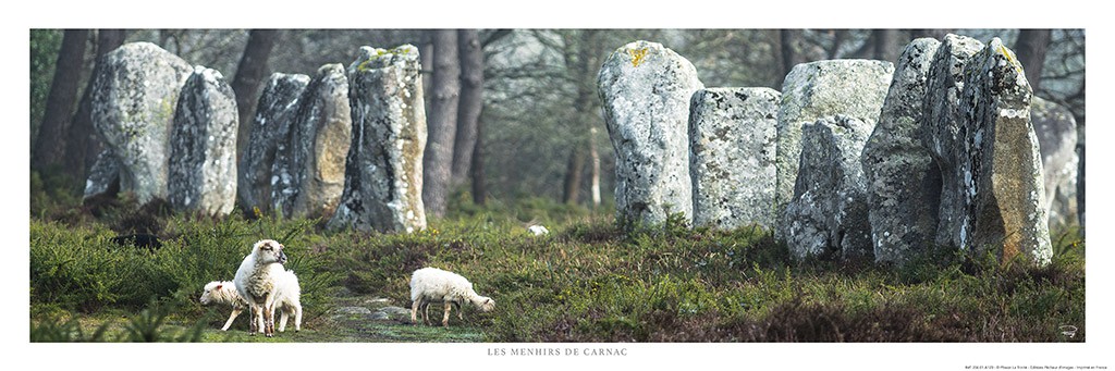 Philip Plisson, Les menhirs de Carnac (Bretagne, Steinzeit, Menhire Steinblöcke, prähistorisch, Schafe, Natur, Wohnzimmer, Frankreich, Fotokunst, bunt)