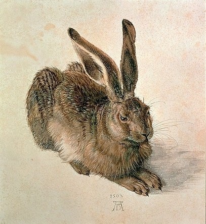 Albrecht Dürer, Junger Feldhase. 1502 (Klassiker, Hase, Feldhase, Tierportrait, Fell, Renaissance, Malerei, Wunschgröße, Wohnzimmer, Schlafzimmer, Treppenhaus, bunt)