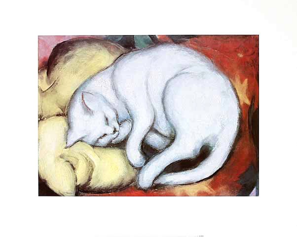 Franz Marc, Cat on a yellow Pillow (Malerei, Expressionismus, Katzen,  schlafende Katze, Katzenwäsche, klassische Moderne, Wohnzimmer, Schlafzimmer, Arztpraxis Treppenhaus, bunt)