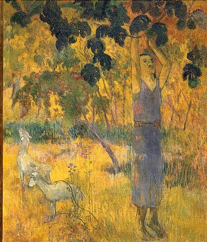 Paul Gauguin, Eingeborener bei der Obsternte. 1897 (Gauguin,Paul,1848-1903,St. Petersburg,Eremitage,Gauguin,Paul Gauguin,19. Jahrhundert,Tahiti,Polynesien,Ernte,Obst,Obstbaum,Südsee,Eingeborener,Ziege,Schaf,ernten,gelb,pfücken,sich strecken)