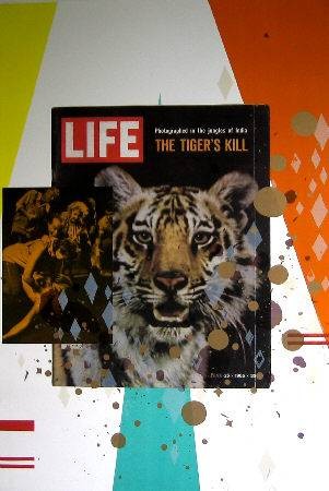 Roepstorff Kirstine Tiger, Tiger burning bright (30) (Original-Lithografie, signiert und nummeriert) (Titelbild, Life-magazin, Zeitschrift, Tiger, The tiger's kill,1965, abstrakter Hintergrund, Grafik, Original, signiert, Collage, Wohnzimmer, bunt)