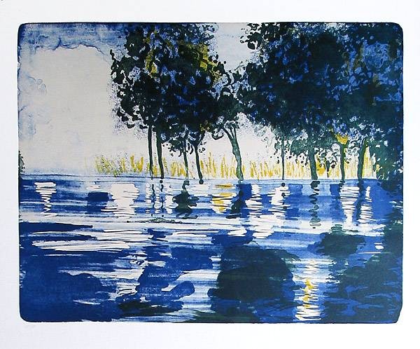 Stangl Reinhard Amazonas 4, 2007 (30) (Lithografie, handsigniert)