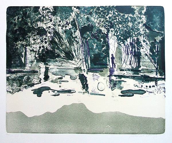 Stangl Reinhard Amazonas 6, 2007 (30) (Lithografie, handsigniert)