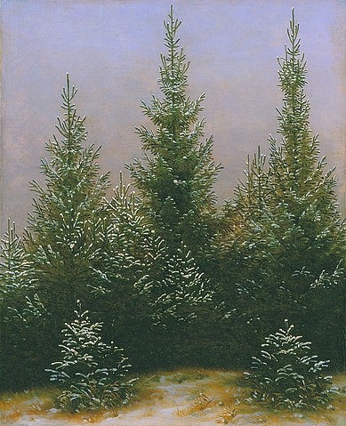 Caspar David Friedrich, Fichtendickicht im Schnee (Dresdner Heide I.). Gegen 1828 (München,Neue Pinakothek,Friedrich,Caspar David,1774-1840,Lwd.,Foto: Blauel/Gnamm - Artothek,Winter,Friedrich,baum,romantik,19. Jahrhundert,Tannen,Tannenbaum,Fichte,Fichten,drei, Bayerische Staatsgemäldesammlungen)