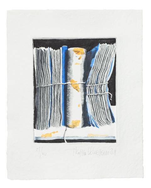 Kleemann Thomas Archiv blau (30) (Aquagravure) (Bücher, Akten, Unterlagen, Archiv, verschnürrt, grafik, modern, Original, Büro, Wohnzimmer, Bibiothek, bunt)