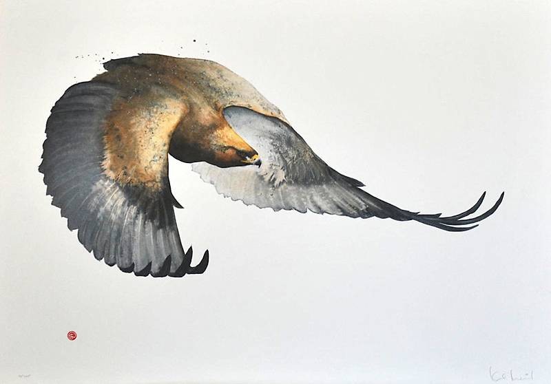 Martens Karl Steinadler, 2011 (Lithographie, handsigniert, nummeriert) (Vogel, Adler, Raubvogel, Ornithologie, Tiere, Grafik, signiert, nummeriert, Original, Treppenhaus, Wohnzimmer, bunt)