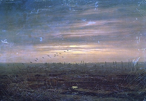 Caspar David Friedrich, Fischernetze am Meeresstrand. (Meer, Abendstimmung, Vögel, Sonnenuntergang, Fischernetze,  Klassiker, Wohnzimmer, Treppenhaus, Malerei, Romantik, Wunschgröße, bunt)