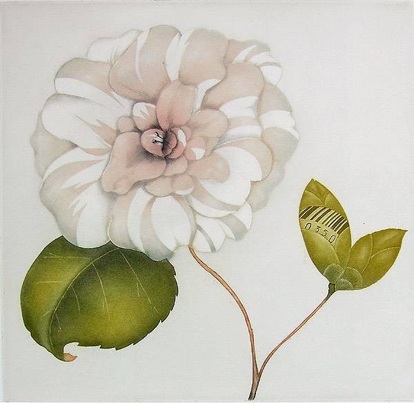Werner Josef Camelia,   2012 (Radierung, handsigniert) (Blüte, Blume, Kamelie, Botanik, Grafik, Original, signiert, Treppenhaus, Schlafzimmer)