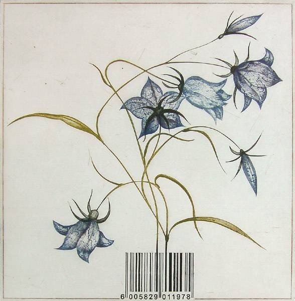 Werner Josef Campanula,   2012 (Radierung, handsigniert) (Blüte, Blume, Zweige, Glockenblume, Botanik, Grafik, Original, signiert, Treppenhaus, Schlafzimmer)