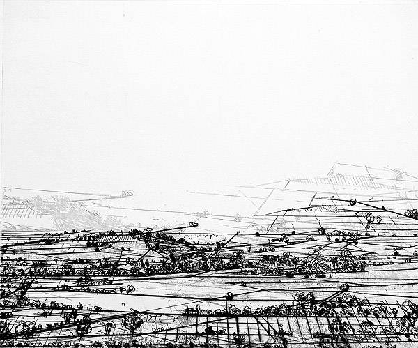 Negenborn Heike Linescape 3 (Radierung, handsigniert, e.a.) (Landschaft, Ebene, Raster, Vogelperspektive, Grafik, Original, signiert, Treppenhaus, Esszimmer, Wohnzimmer, schwarz/weiß)
