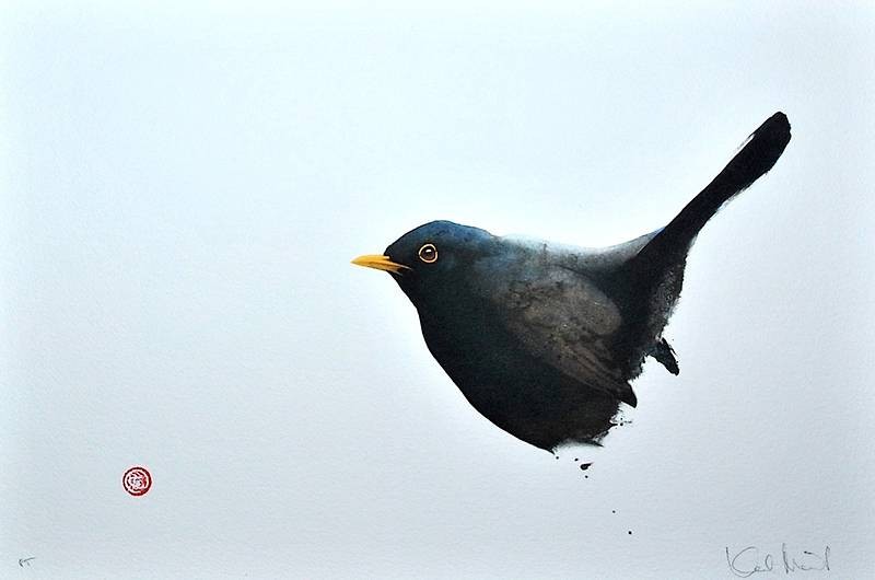 Martens Karl Amsel, 2011 (Lithographie, handsigniert, nummeriert) (Vogel,Amsel, Ornithologie, Tiere, Grafik, signiert, nummeriert, Original, Treppenhaus, Wohnzimmer, bunt)