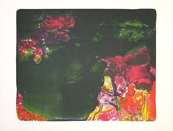 Stangl Reinhard Blumen des Bösen  (30) (Lithografie, handsigniert)