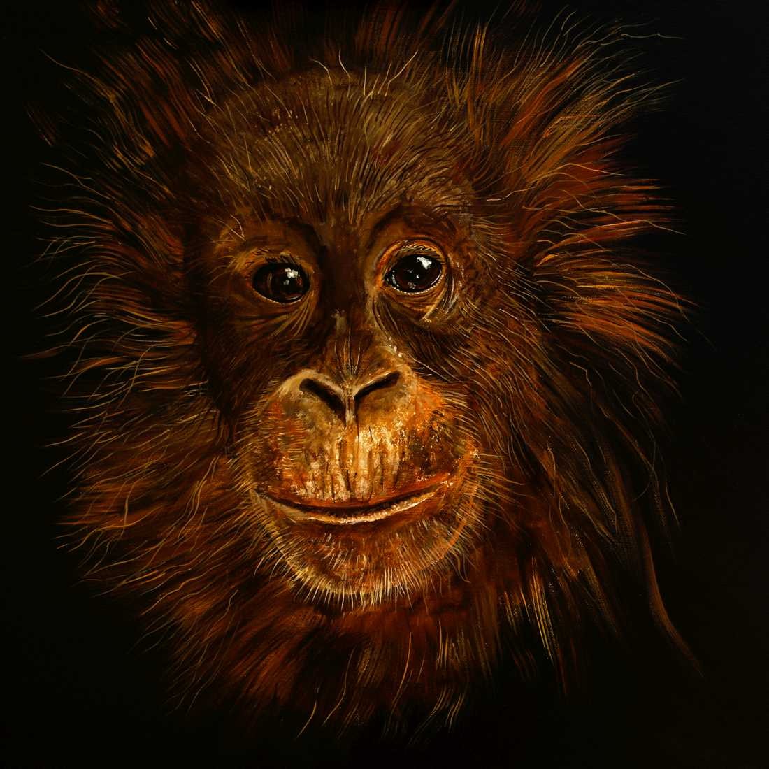 Conny Krakowski, Orang Utan Baby (Surrealismus, Traum, Magie, Esoterik, Baum, Traumbaum,Lebensbaum,Geburt,Leben,Sterben,Wege, Lebensweg, Phantasie,Fantasie,Realismus,Malerei,Gemläde,detaiiert,Traumbild,Traumlandschaft,Landschaftsmalerei,Träumerei,Wasserfall,Berge,Wolken,)