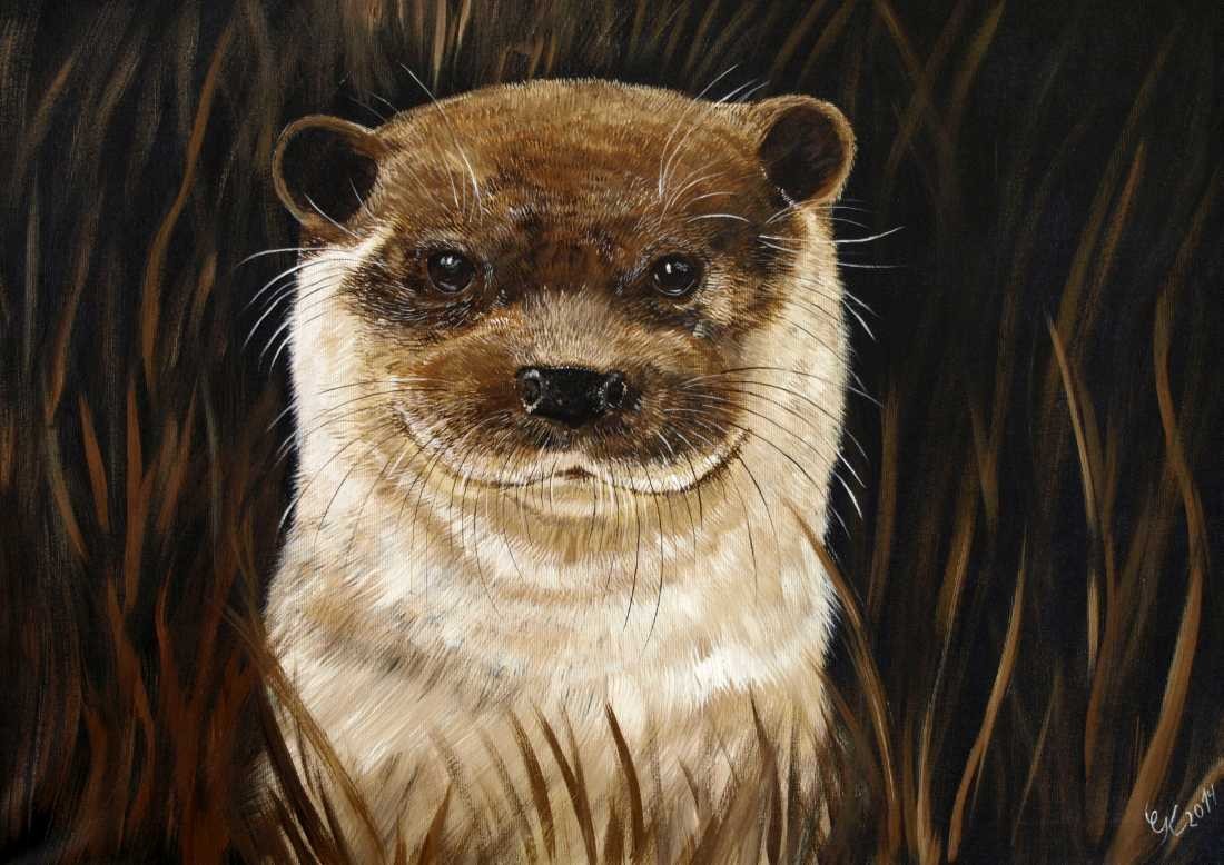 Conny Krakowski, Otter im Gras (Surrealismus, Traum, Magie, Esoterik, Baum, Traumbaum,Lebensbaum,Geburt,Leben,Sterben,Wege, Lebensweg, Phantasie,Fantasie,Realismus,Malerei,Gemläde,detaiiert,Traumbild,Traumlandschaft,Landschaftsmalerei,Träumerei,Wasserfall,Berge,Wolken,)