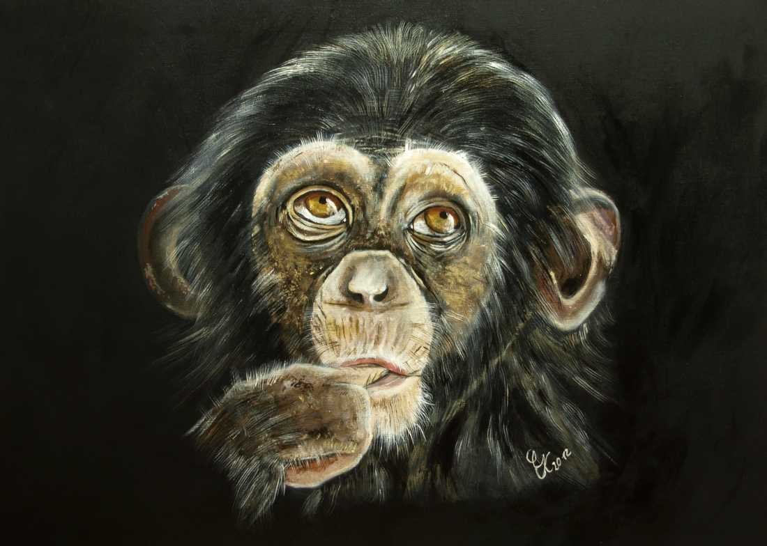 Conny Krakowski, Schimpansenbaby (Surrealismus, Traum, Magie, Esoterik, Baum, Traumbaum,Lebensbaum,Geburt,Leben,Sterben,Wege, Lebensweg, Phantasie,Fantasie,Realismus,Malerei,Gemläde,detaiiert,Traumbild,Traumlandschaft,Landschaftsmalerei,Träumerei,Wasserfall,Berge,Wolken,)