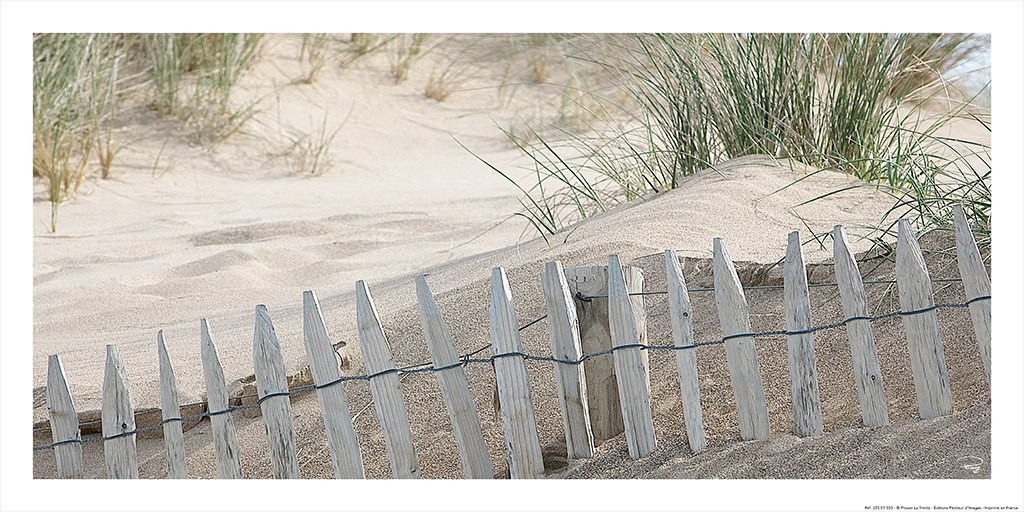 Philip Plisson, Couleur de sable (Sand, Sanddüne, Düne, maritim, Dünengras, Naturschutz, Zaun, Treppenhaus, Wohnzimmer, Fotografie, bunt)