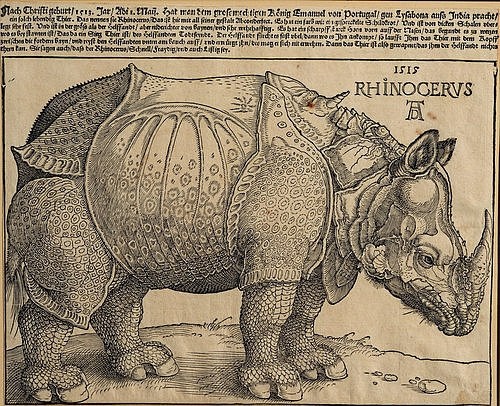 Albrecht Dürer, Nashorn. 1515. Für König Emanuel. (Nashorn, Panzer, Tier, Großwild, Studie, Klassiker, Alte Meister, Grafik, Wohnzimmer, Treppenhaus, Renaissance, Wunschgröße, schwarz/weiß)