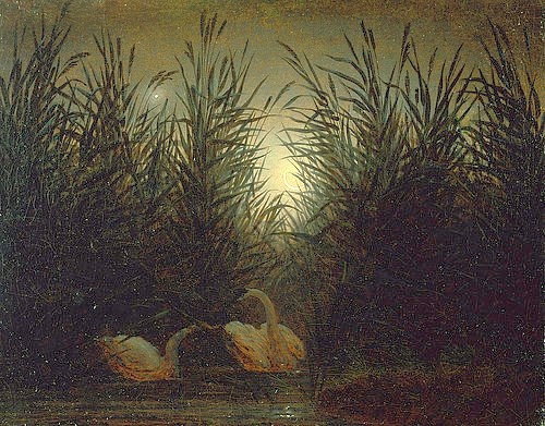 Caspar David Friedrich, Schwäne im Schilf. Um 1820 (Friedrich,Caspar David,1774-1840,Frankfurter Goethe-Museum,Öl auf Leinwand,Goethe Museum, Goethemuseum, Caspar David Friedrich, 1774-1840, 18. Jahrhundert, 19. Jahrhundert, Deutschland, deutsch, Romantik, romantisch, Ideal, ideal, idealistisch, verklärt,)