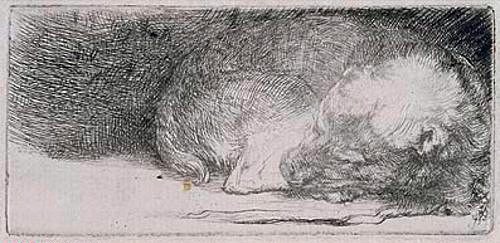 Rembrandt van Rijn, Der schlafende Hund. Um 1640. (Rembrandt van Rijn,1606-1669,Städel Museum,Frankfurt am Main,Radierung,Graphische Sammlung,Rembrandt,17. Jahrhundert,Hund,schlafen,Schlaf,Tier,Haustier,zusammengerollt,Hundeschnauze,Grafik,Graphik, Städel Museum)