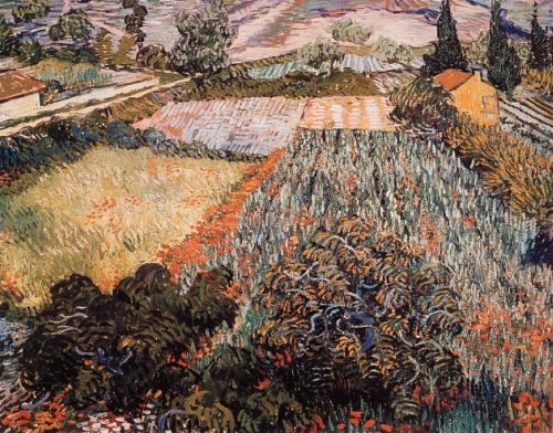 Vincent van Gogh, Mohnfeld (Offset) (Felder, Gärten, Mohn, Blumen, Landwirtschaft, Südfrankreich, Impressionismus, Klassiker, Wohnzimmer, Arztpraxis, bunt)