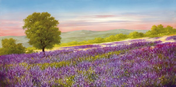 Heinz Schölnhammer, LAVENDER FIELD (Landschaft, Lavendel, Lavendelfeld, Blüten, floral, Naturalismus, Wohnzimmer, Treppenhaus, Malerei, Wunschgröße, bunt)