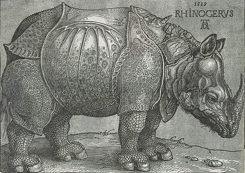 Albrecht Dürer, Rhinocerus. 1515 (Dürer,Albrecht,1471-1528,Graphische Sammlung,<br> Städel Museum Frankfurt am Main,16. Jahrhundert,Holzschnitt und Typendruck,Städel Museum,Albrecht Dürer, Renaissance, Tier, Nashorn,Panzer,naturalistisch, Säugetier, wild, Zoologie, Horn, Rhinozeros)