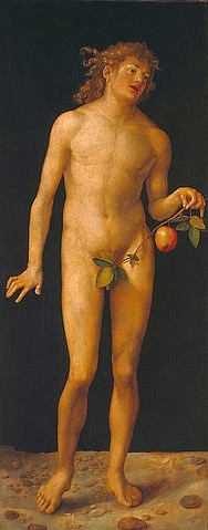 Albrecht Dürer, Adam. 1507 (16. Jahrhundert,Nadelholz,1471-1528,Dürer,Albrecht,Madrid,Museo del Prado,Adam,Dürer, Albrecht Dürer,Renaissance,Mann,Akt,Hand,Apfel,Apfelzweig,Garten Eden)