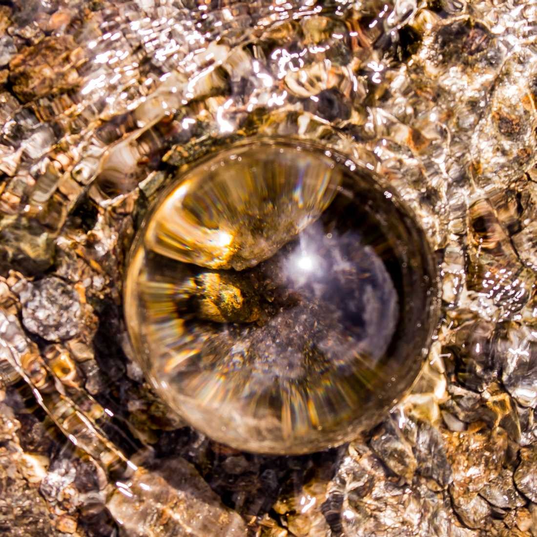 Conny Krakowski, Wasserspiegel (Glaskugel, Wasser, Fotografie, Fluss, Bach, Makro, Makroaufnahme, Strom, Strömung, Fotografie)