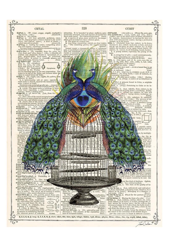 Tina Carlson, PEACOCKS CAGE I (Zeitung, Buchseite, Lexikon, Pfau, Vogel, Vogelkäfig, Studie, Grafik, Wunschgröße, Wohnzimmer, Treppenhaus, schwarz/weiß/bunt)