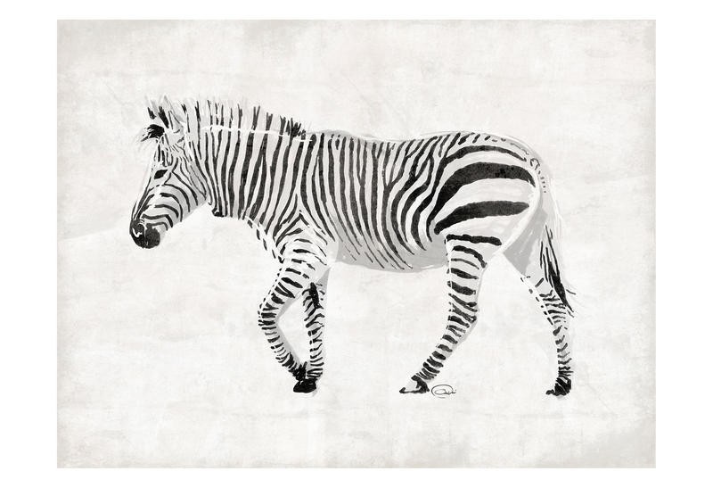 Onrei, ALONE ZEBRA (TIERE)