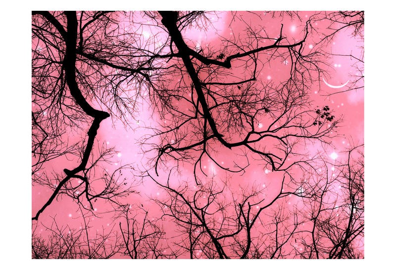 Tracey Telik, HEAVEN PINK (Bäume, Äste, Himmel, Nachthimmel, Perspektive, Untersicht, Aufstreben, Silhouetten, Fotokunst, Wunschgröße, Wohnzimmer, Schlafzimmer, schwarz/rosa)