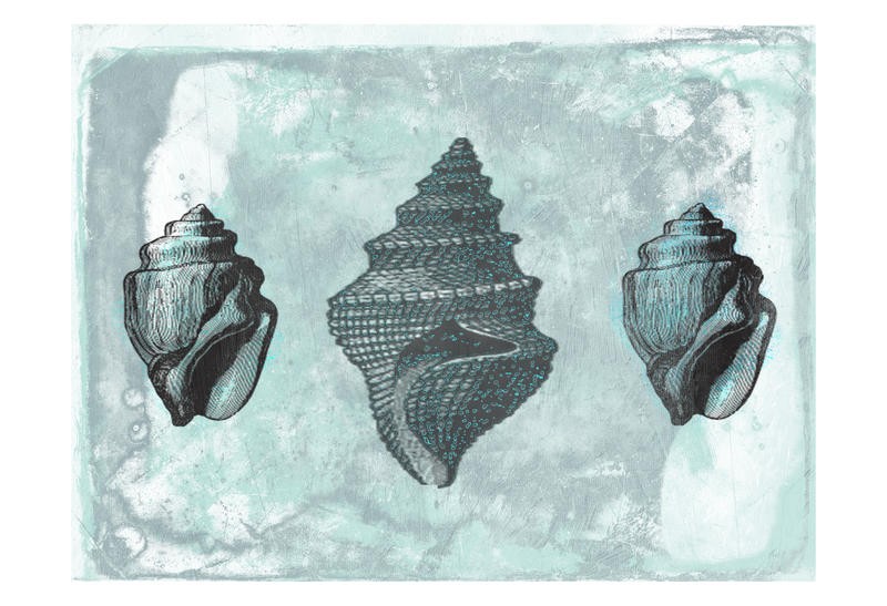 Sheldon Lewis, MUSSEL I (Muscheln, Seeschnecken, Schneckenhäuser, maritim, Meerestiere, Grafik, Badezimmmer, Treppenhaus, Wunschgröße, grau)