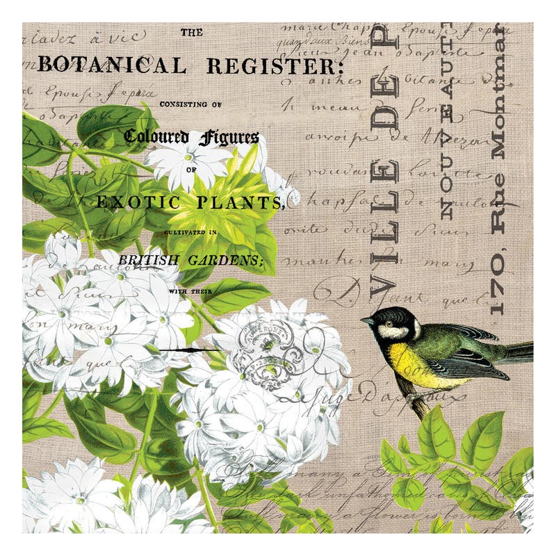 Tammy Repp, BOTANICAL POSTCARD I (VÖGEL)