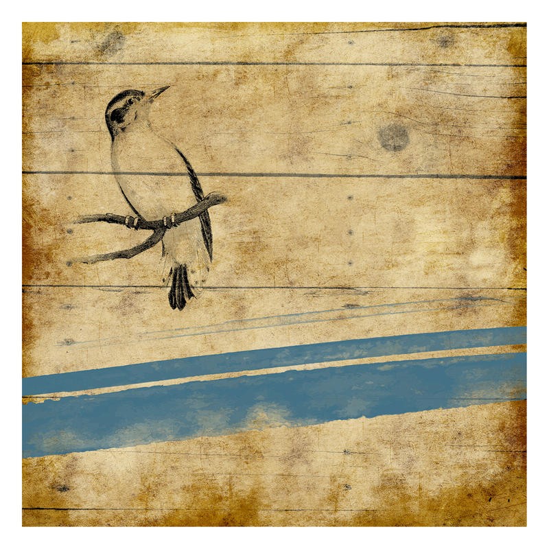 Jace Grey, WOOD BIRDS STRIPE II (VÖGEL)