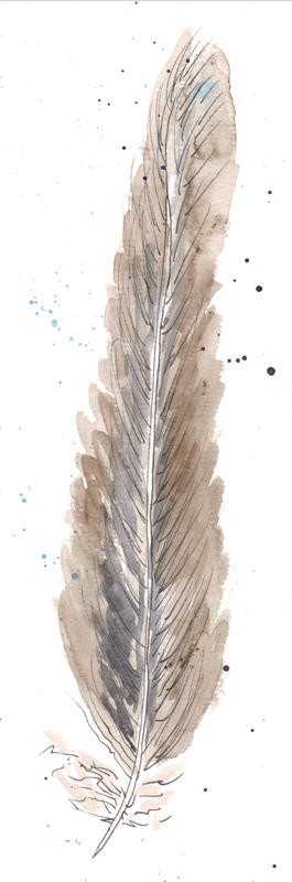 Beverly Dyer, FEATHER TRIO PART I (Feder, Vogelfeder,  Schlafzimmer, Wohnzimmer, Treppenhaus, Malerei, Wunschgröße, beige/braun)