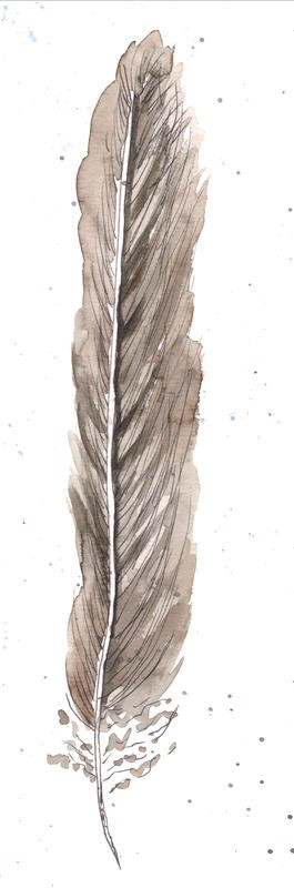 Beverly Dyer, FEATHER PINK TRIO PART I (Feder, Vogelfeder,  Schlafzimmer, Wohnzimmer, Treppenhaus, Malerei, Wunschgröße, beige/braun)