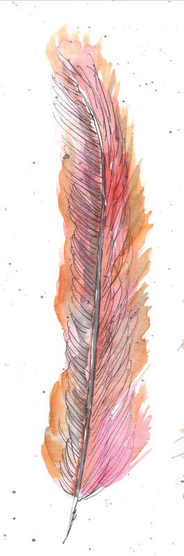Beverly Dyer, FEATHER PINK TRIO PART II (Feder, Vogelfeder,  Schlafzimmer, Wohnzimmer, Treppenhaus, Malerei, Wunschgröße, orange/pink)