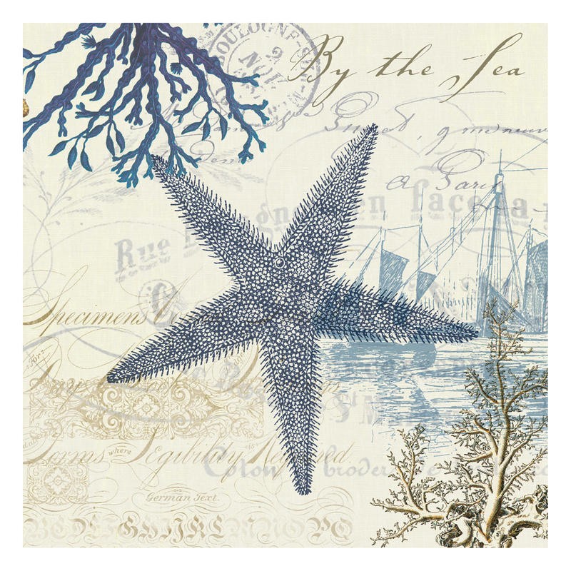 Tammy Repp, COASTAL I (MARITIM)