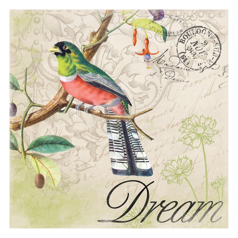 Jace Grey, BIRD POSTCARD I (VÖGEL)
