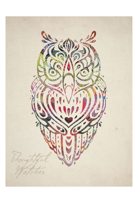 Melody Hogan, COLORFUL OWL I (TIERE)