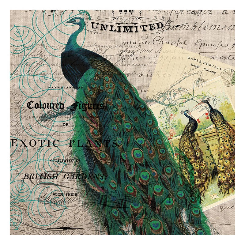 Tammy Repp, BOTANICAL REGISTER III (VÖGEL)