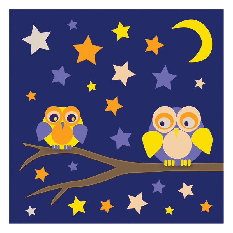 Lauren Gibbons, OWLS OF COLOR WITH STARS I (Eulen, Vögel, Ast, Sterne, Sternenhimmel, Mond, Nachtszene, Grafik, naiv, plakativ, Treppenhaus, Kinderzimmer, Wunschgröße, bunt)