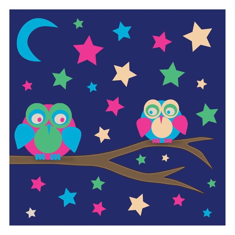 Lauren Gibbons, OWLS OF COLOR WITH STARS II (Eulen, Vögel, Ast, Sterne, Sternenhimmel, Mond, Nachtszene, Grafik, naiv, plakativ, Treppenhaus, Kinderzimmer, Wunschgröße, bunt)