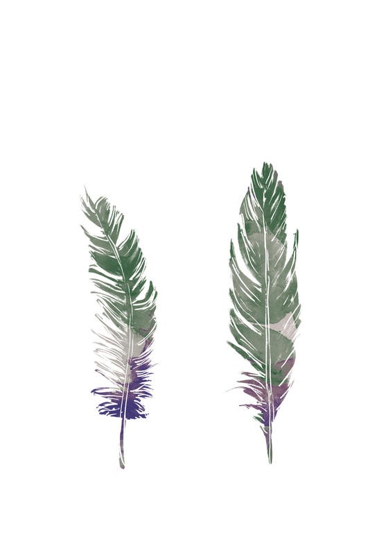 Onrei, WATERCOLOR FEATHER II (VÖGEL)