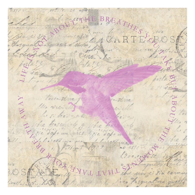 Taylor Greene, LOVE PINK BIRD II (Vogel, Kolibri, Fliegen, Flügel, Kalligrafie, Schrift, Nostalgie, Grafik, Wunschgröße, Treppenhaus, Wohnzimmer)