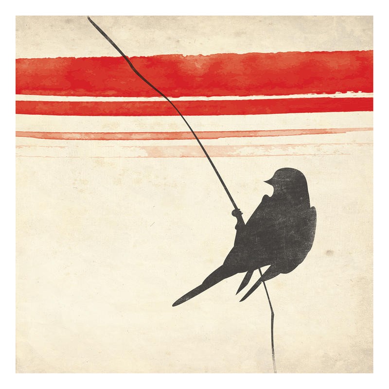 Jace Grey, SIMPLE BIRD I (VÖGEL)